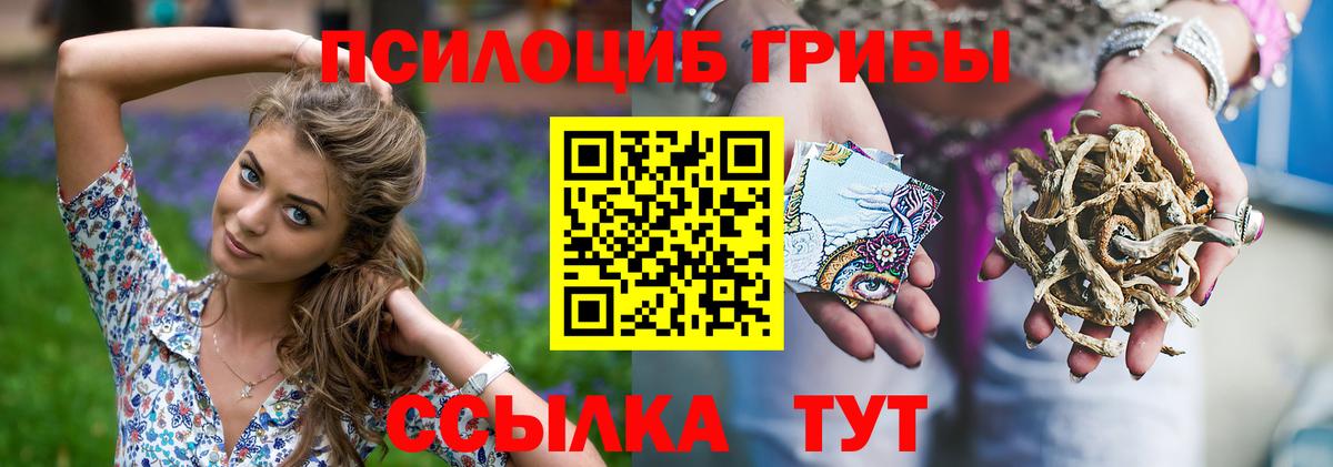 Волжск  Галлюциногенные грибы мицелий  Вход с VPN 